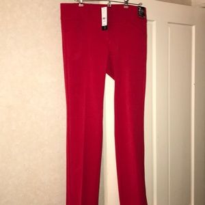 Slim fit pant size 12